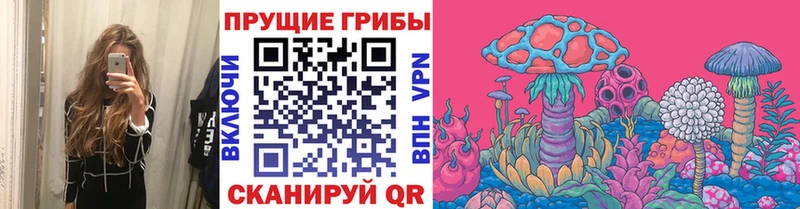 цены Нефтеюганск Галлюциногенные грибы GOLDEN TEACHER