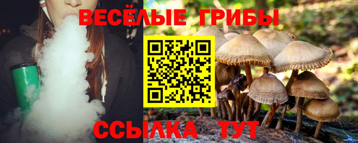 Галлюциногенные грибы Psilocybine cubensis  наркотики  Нефтеюганск  Вход с VPN 