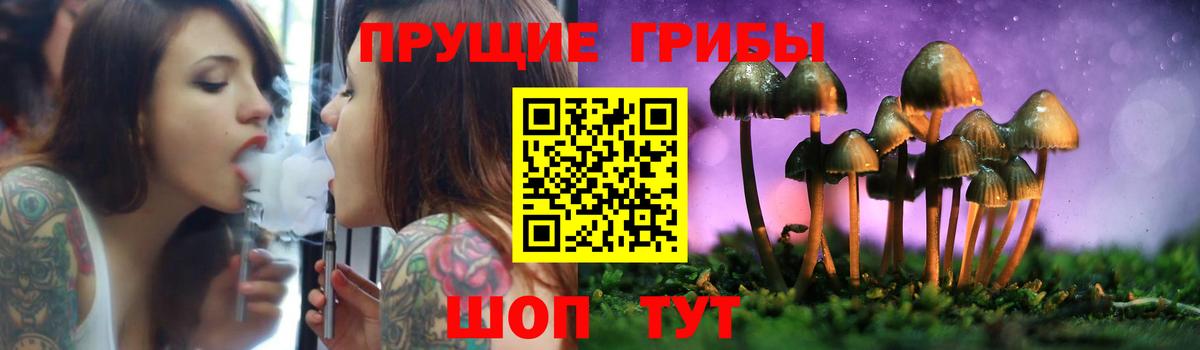 Псилоцибиновые грибы Psilocybe Нефтеюганск